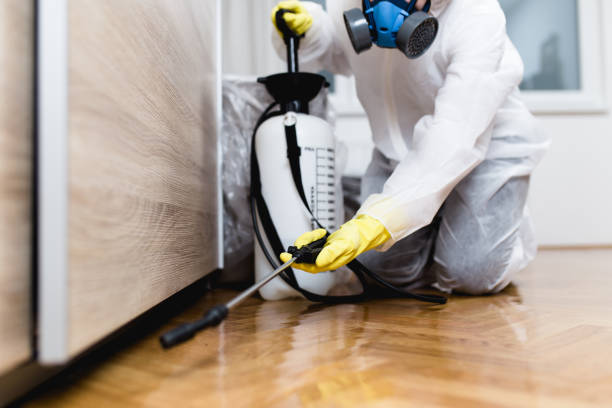 Best Wasp Removal Services  in South Sioux City, NE