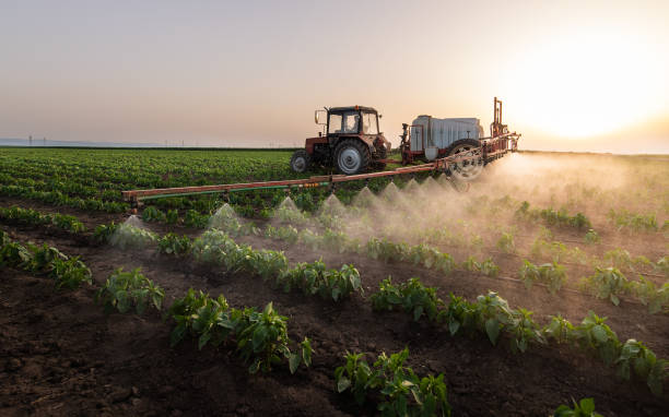 Best Wildlife Control Services  in South Sioux City, NE