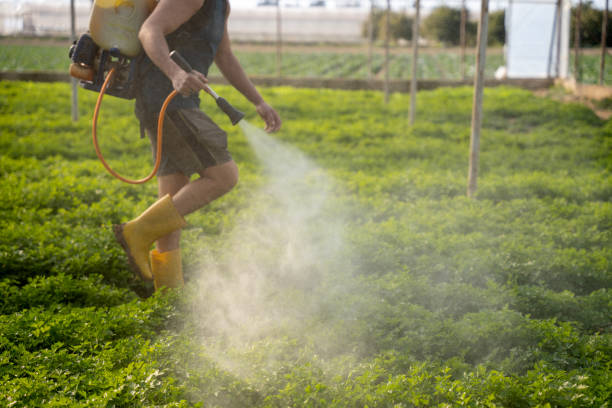 Best Pest Inspection Near Me  in South Sioux City, NE