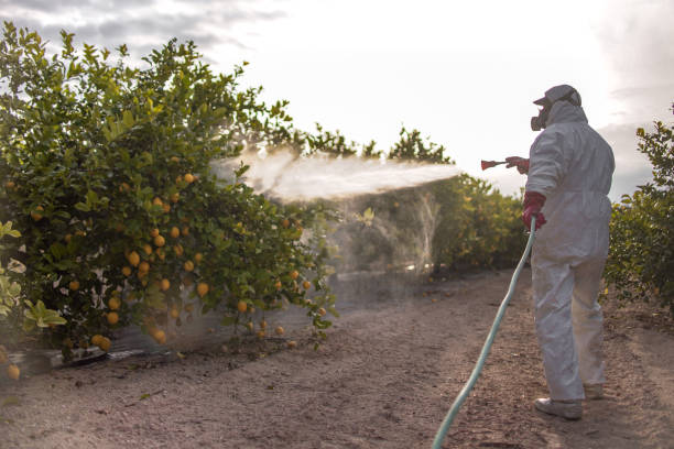Best Residential Pest Control  in South Sioux City, NE