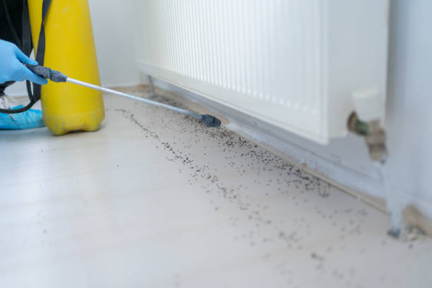Best Pest Prevention Services  in South Sioux City, NE